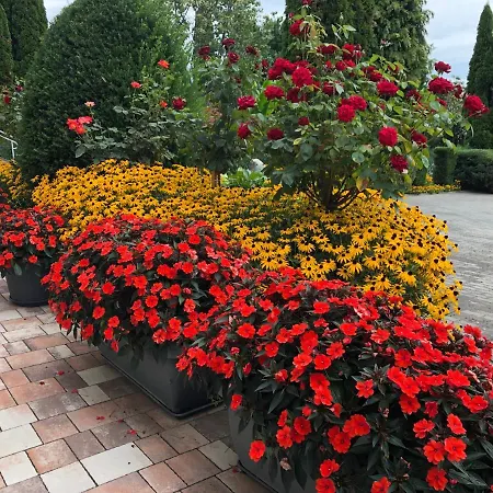 Jozsef House شقة زلاكاروس