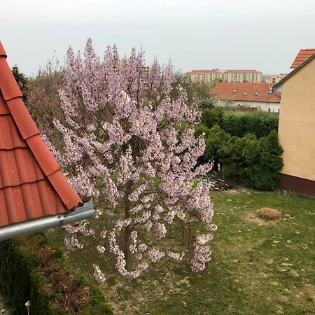 Jozsef House * Zalakaros