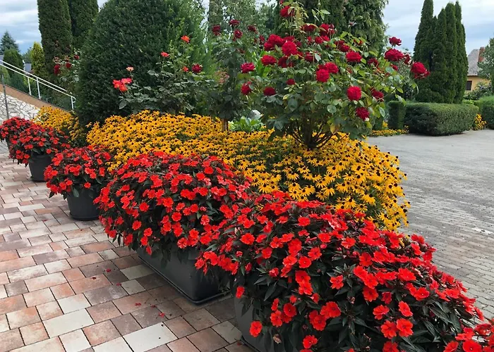 Jozsef House Appartamento Zalakaros